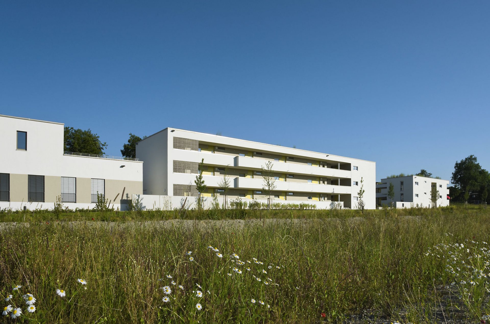 Mehrgenerationenhaus und Dienstleistungszentrum